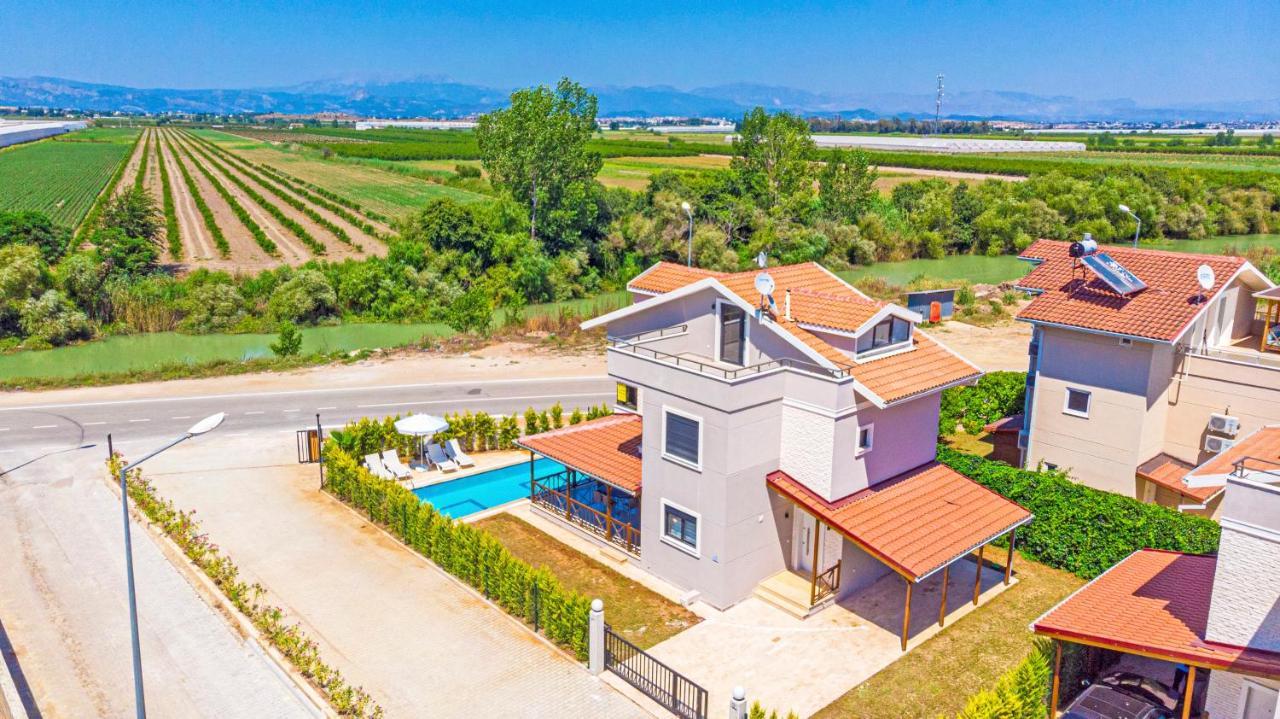 Paradise Town Villa Belhamra 贝莱克 外观 照片